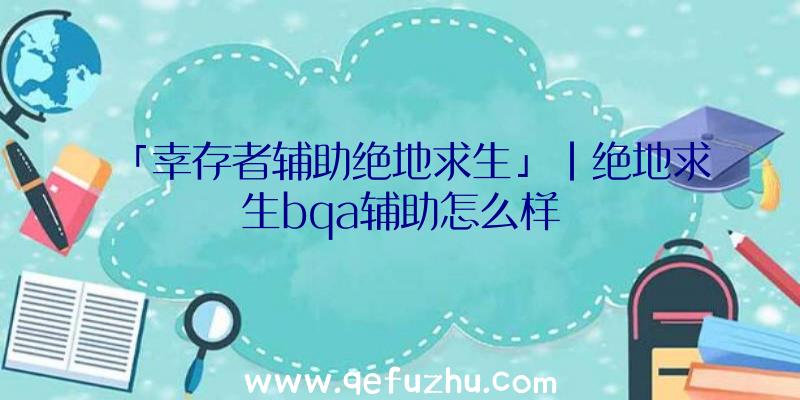 「幸存者辅助绝地求生」|绝地求生bqa辅助怎么样
